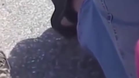 The kind man saves the life of recently born duck babies. Watch this emotional moment.