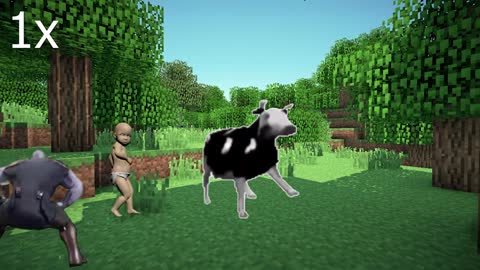 funny cow videos