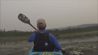 Kayaking with a moose at Quartz lake in Alaska