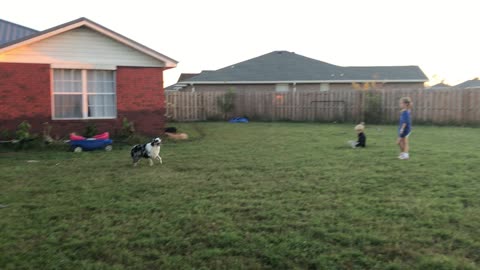 Sam Catching Frisbee Straight At Him