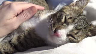 Mom Tickles My Chin while I Sleep