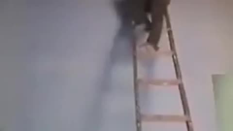 Ladder vs Man