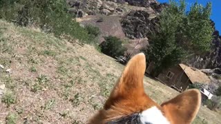 Doug warming up the GoPro for some wild steak herding