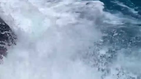 Wave Knocks Tourists Off Rocks in Hawaii