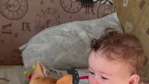 Comforting Puppy Howls to Calm a Baby