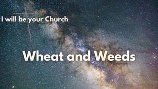 Day 60: Wheat & Weeds