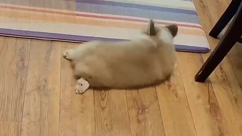 Lie on the floor