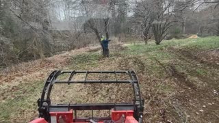 Clearing Trees part 1 (003)