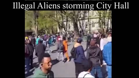 NY City Hall overrun by Illegal Aliens