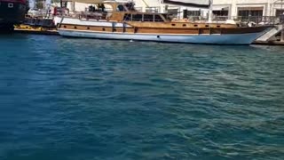 Sea Lion Boards Boat for Snack