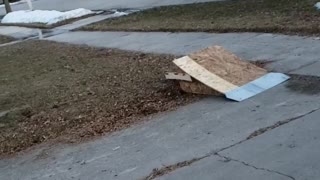 Kid does a backflip off small wooden ramp on his red bike, lands on front wheel and face plants into the grass