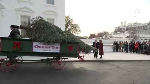President Trump and first lady Melania Trump participate in Christmas tree delivery