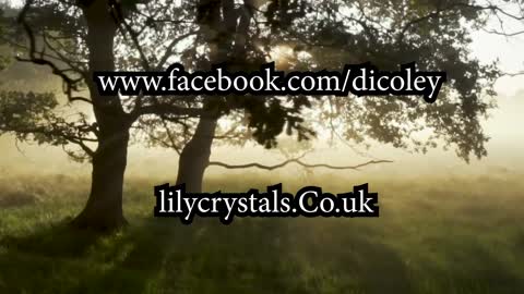 Lily crystals review by Hex