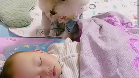 #Chut doggy take care of cute baby🐩