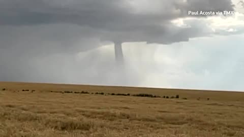 A landspout tornado sweeps through northeast Colorado
