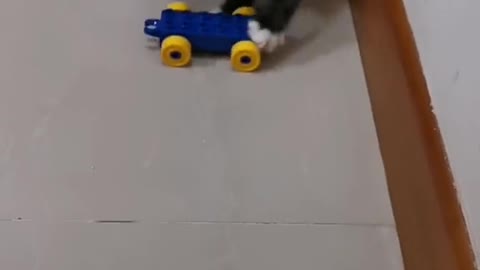 Baby Kitten - my first toy car