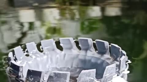 koi fish pond Skimmer