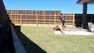 Time lapse fence trimming