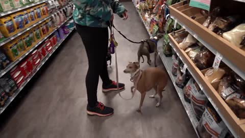 They are buying everything that their pet dog touches