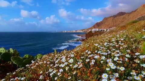 Beautiful images of the sea to relax 😌