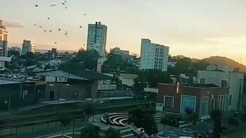 Nordic UFO fleet in Brazil