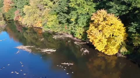 Clark’s pond Bloomfield Nj