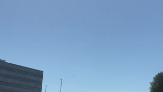 Blue Angels Over Fort Worth