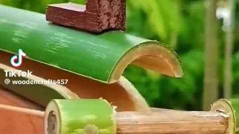 Bamboo Gun