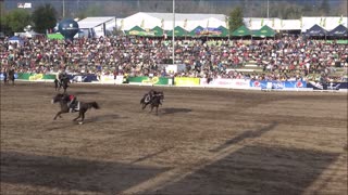 Black Box the Army horse show in Santiago, Chile