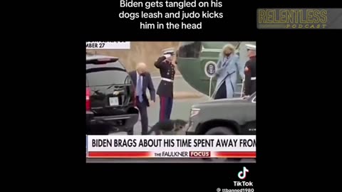 Video Surfaces of Joe Biden Kicking His Dog