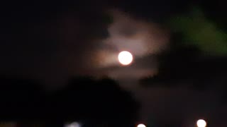 Full Moon In Miami FL 15