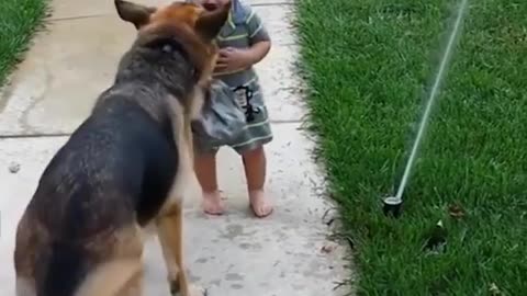 Cute baby and dog play with water faucet and have fun