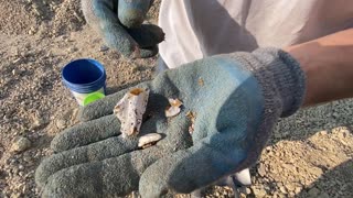 Gem Hunting Fire Opal In Northern Nevada