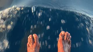 Unforgettable Dolphin Counter in Maldives