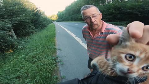 Biker saves a kitten stranded in the middle of the highway new one 2021