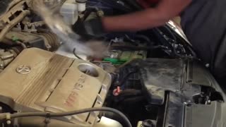 Mechanics Pull Rabbit Out Of Engine And Chase It When It Escapes