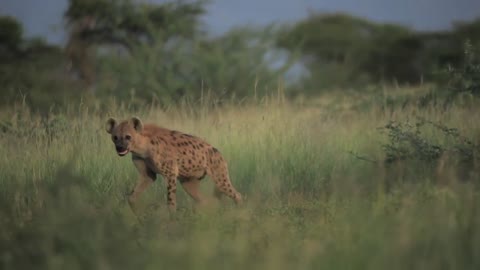 Ethiopia's nature beauty