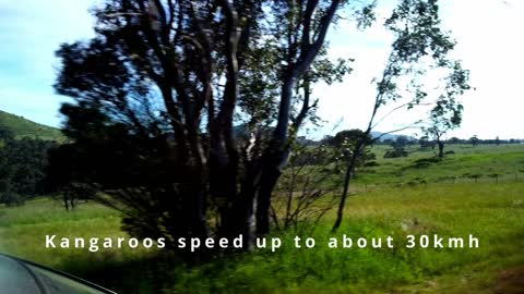 TheAussieDroneGuy bumps into some mates after filming at the great Murrumbidgee River