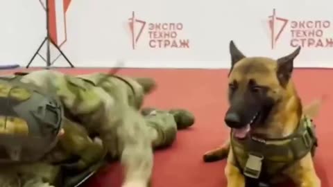 Russian guard soldier and his dog