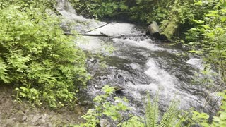 Beneath Upper Latourell Falls – Columbia River Gorge National Scenic Area – Oregon – 4K