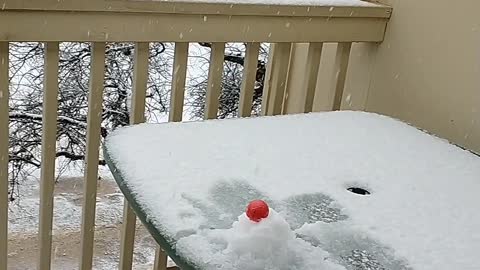 Pretty snow in Texas