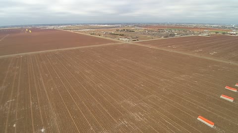 Winter cotton field 3