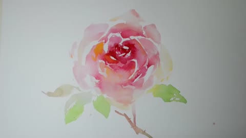 How to paint a rose