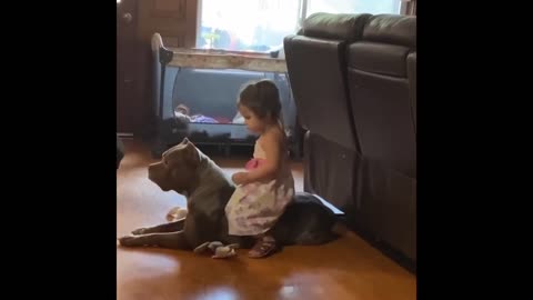 Toddler and big good doggo