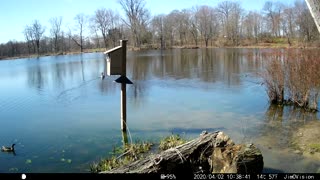 Hickory Creek - Wood Duck Launch