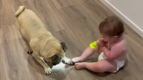 Funny dog play with funny child