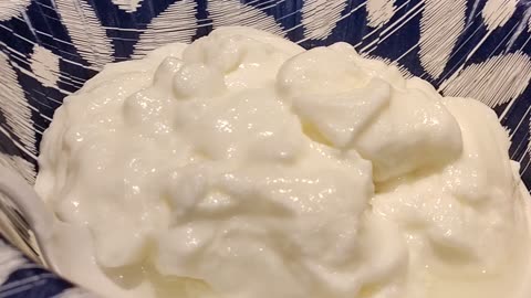 Eating Great Value Plain Nonfat Yogurt, Dbn, MI, 3/13/24