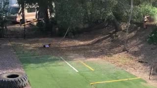 Girl in white on rope swing falls on grass
