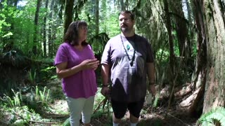 The World of Sasquatch, Episode #4: Targeted Individuals and Poisonous Foods