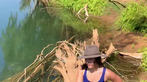 Close Encounter with a Hidden Saltwater Crocodile